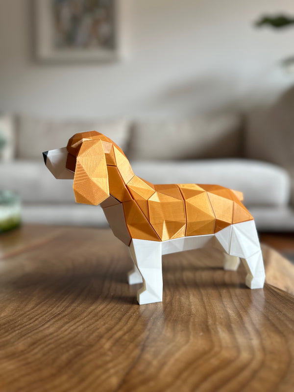 Cocker Spaniel Magnético T1