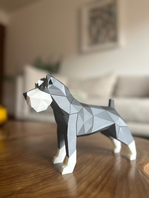 Schnauzer Magnético