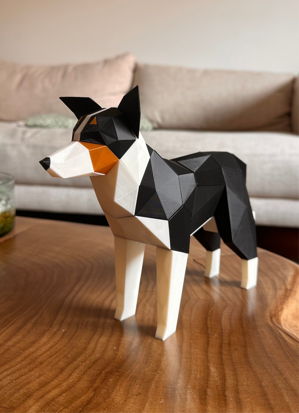 Border Collie Magnético T2