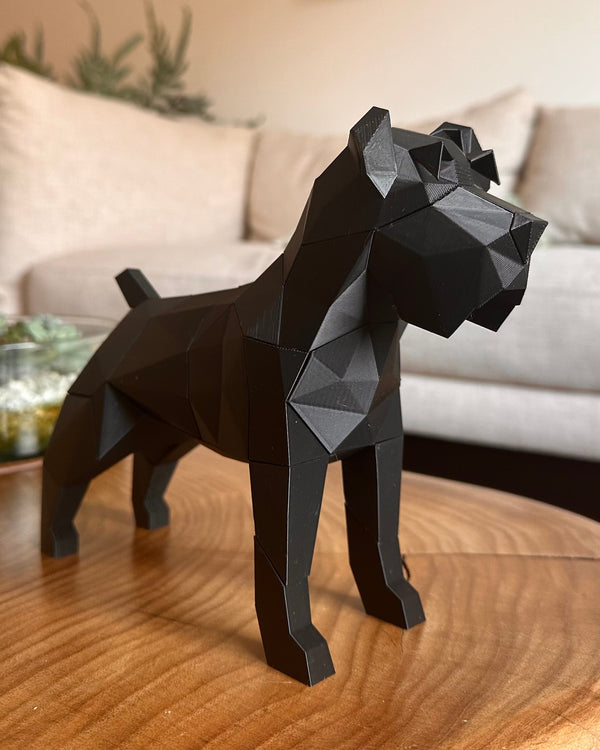 Schnauzer Magnético T2