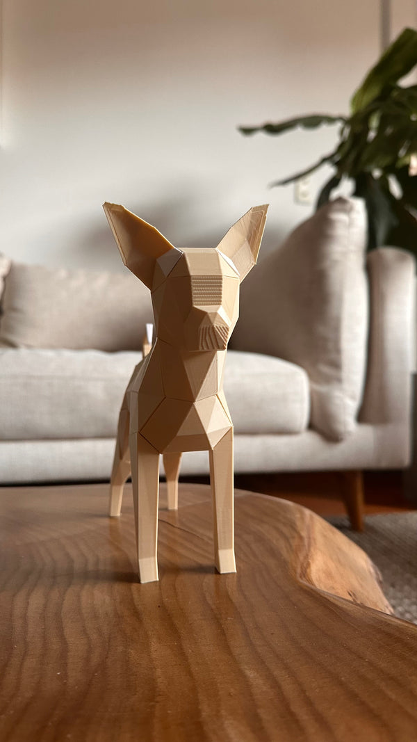 Chihuahua Magnético