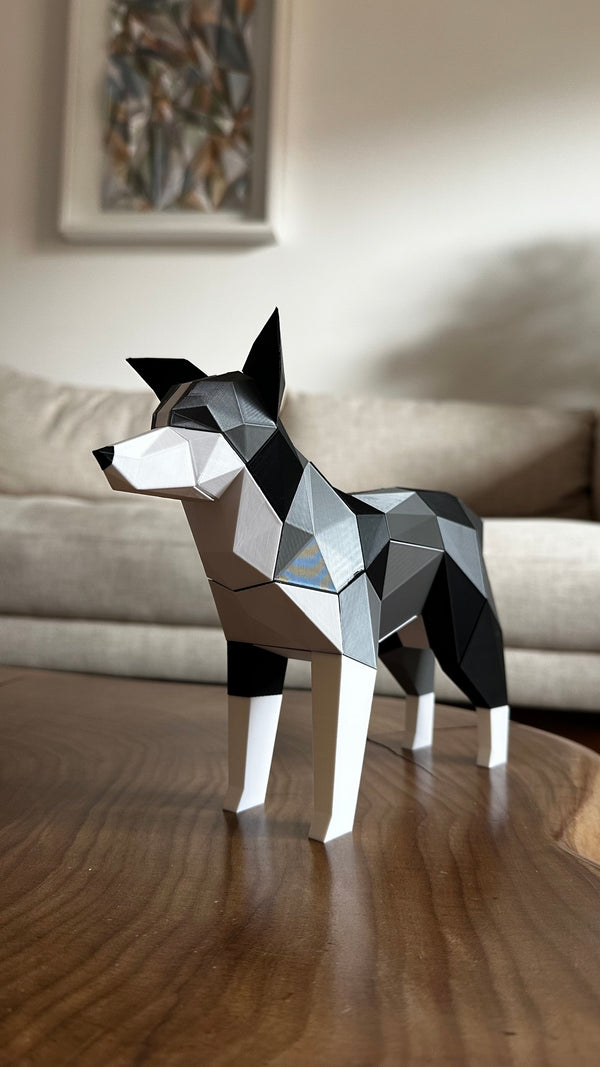 Border Collie Merle Magnético T4