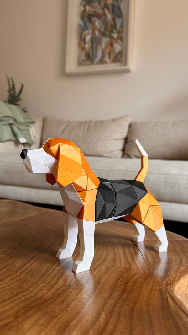 Beagle Magnético T3