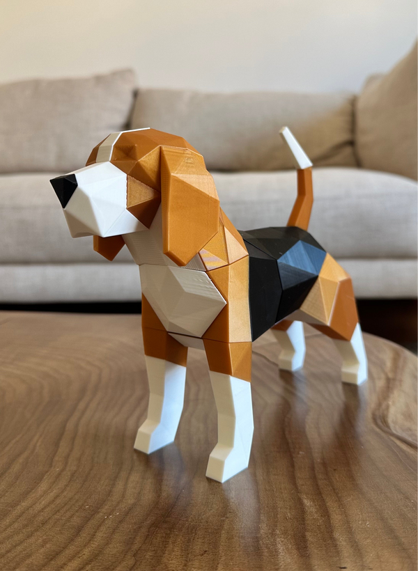 Beagle Magnético