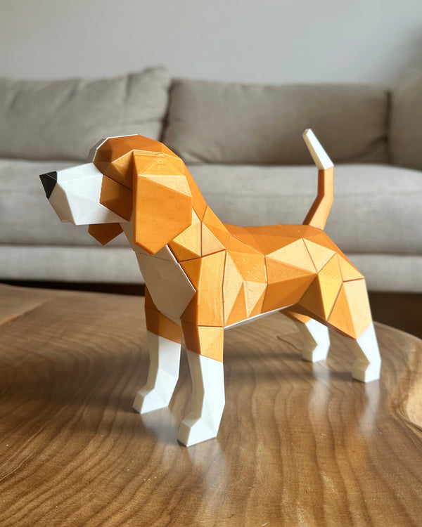 Beagle Magnético T2