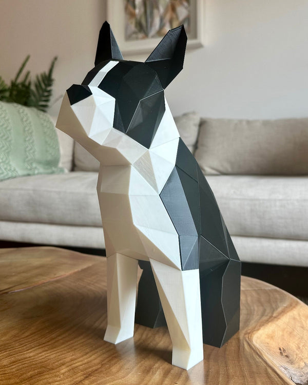 Boston Terrier Magnético