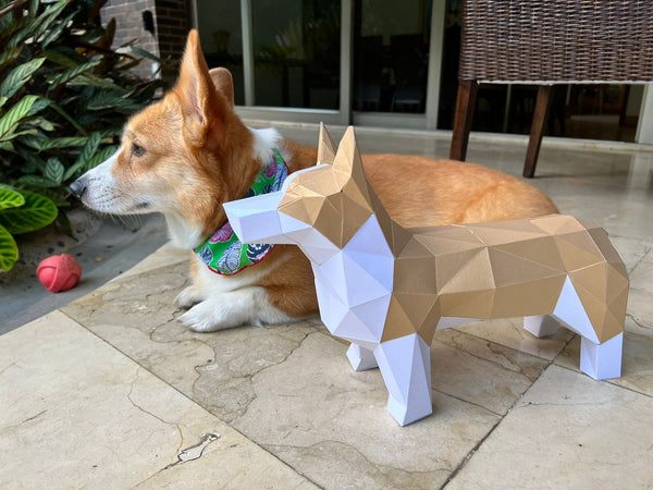 Corgi Cuerpo Entero DIY Real