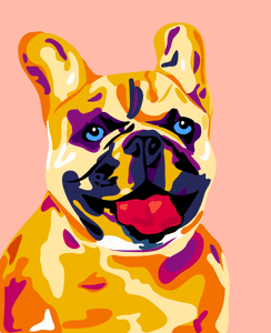 Bulldog - Pintura por números